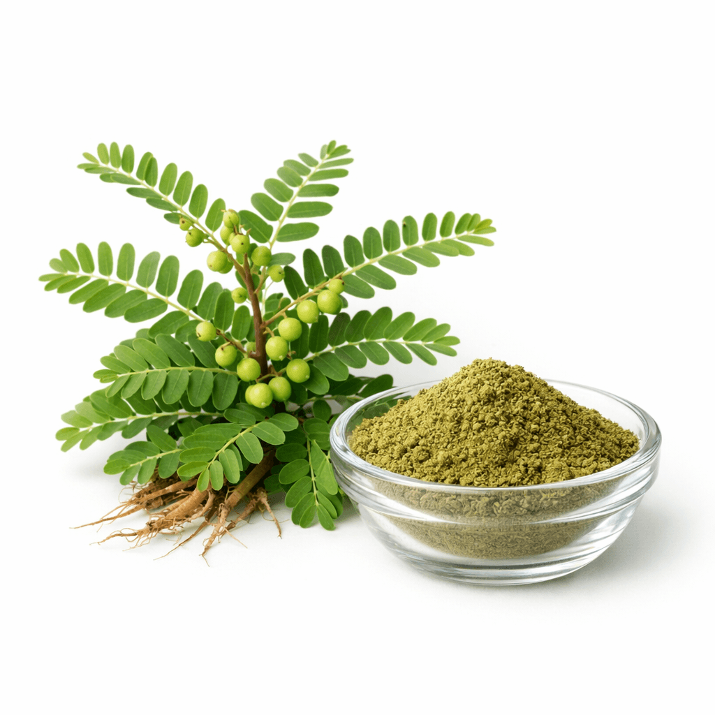 Bhumi Amla Extract (Phyllanthus Niruri)