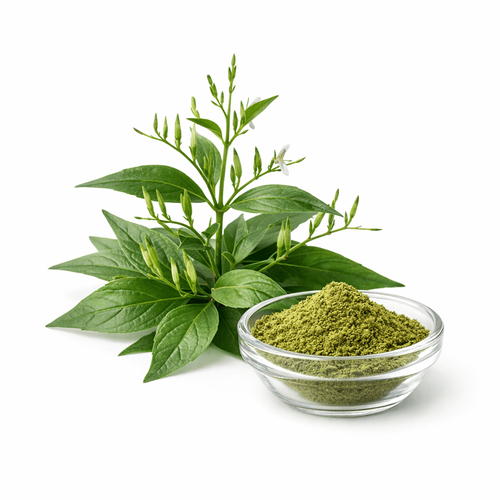 Kalmegh Extract (Andrographis Paniculata)